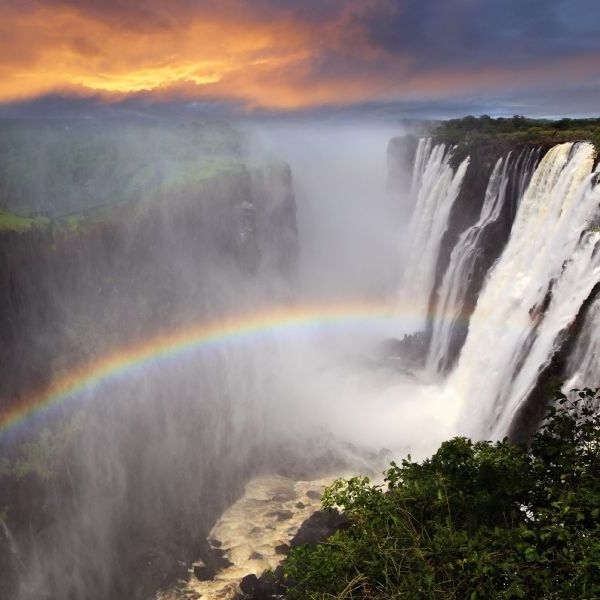 Livingstone In-Style