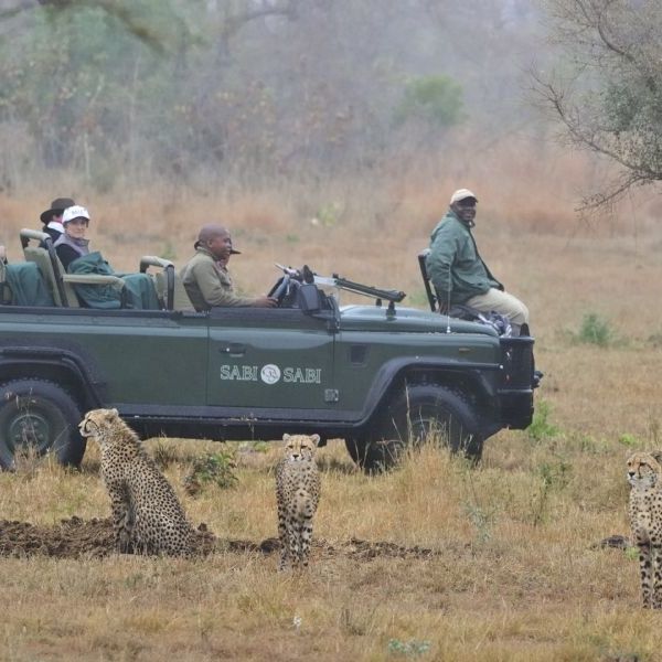 Arabian and Scenic Southern Africa Adventure