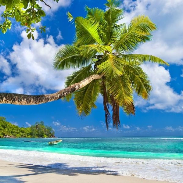 Seychelles and South Africa Escape In-Style