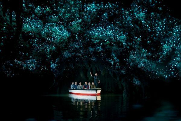 Waitomo Glowworm Caves