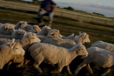 Indulge in New Zealand’s Cozy Season