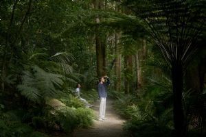 Rosewood Kauri Cliffs