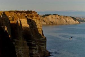 Rosewood Cape Kidnappers