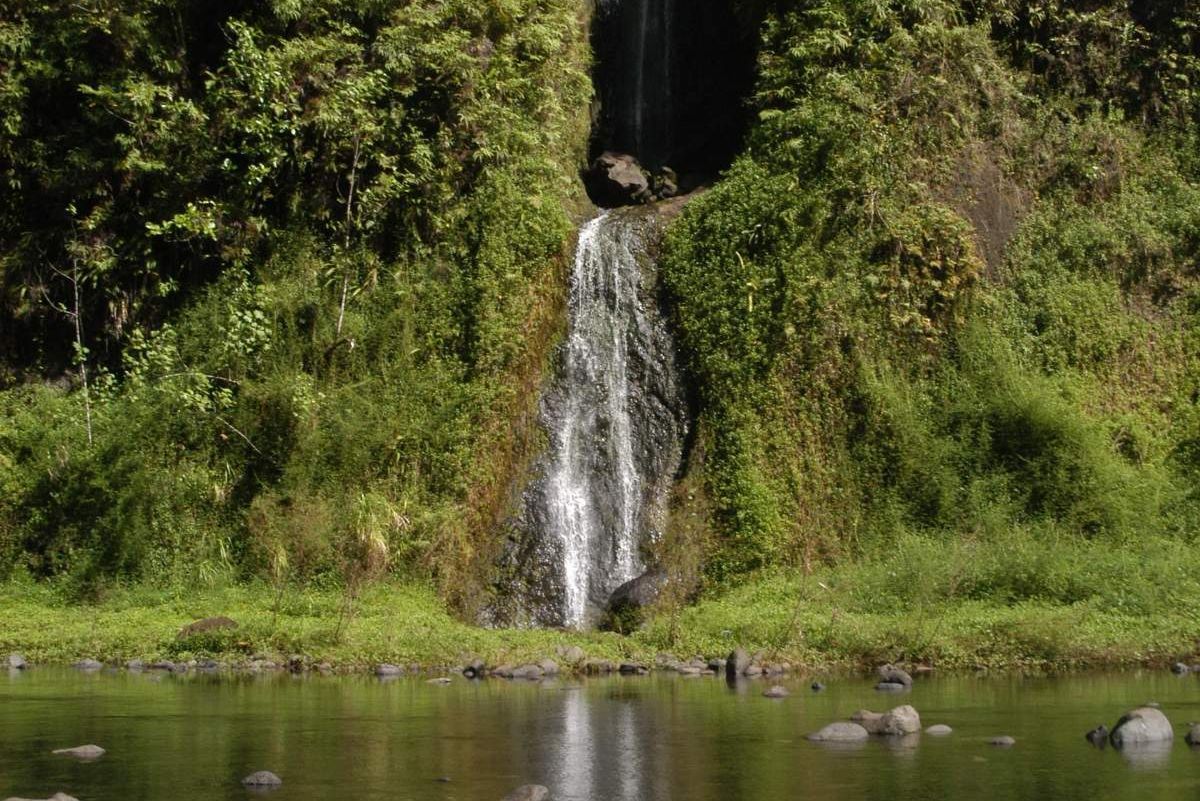 Tahiti and Her Tropical Treasures