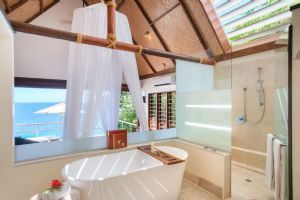 Royal Davui Island Resort