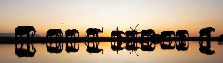 Hidden Treasures of South Africa